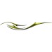 Wind_103